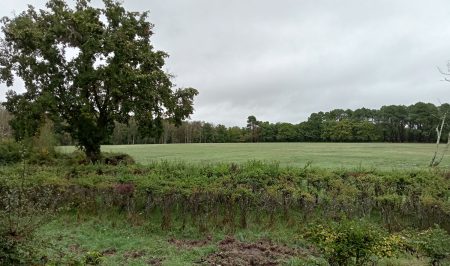 organisation_sejour_france_accueil