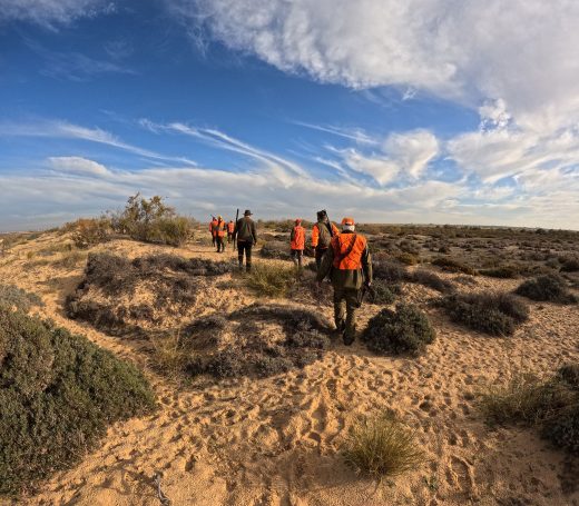 organisation_tunisie_accueil